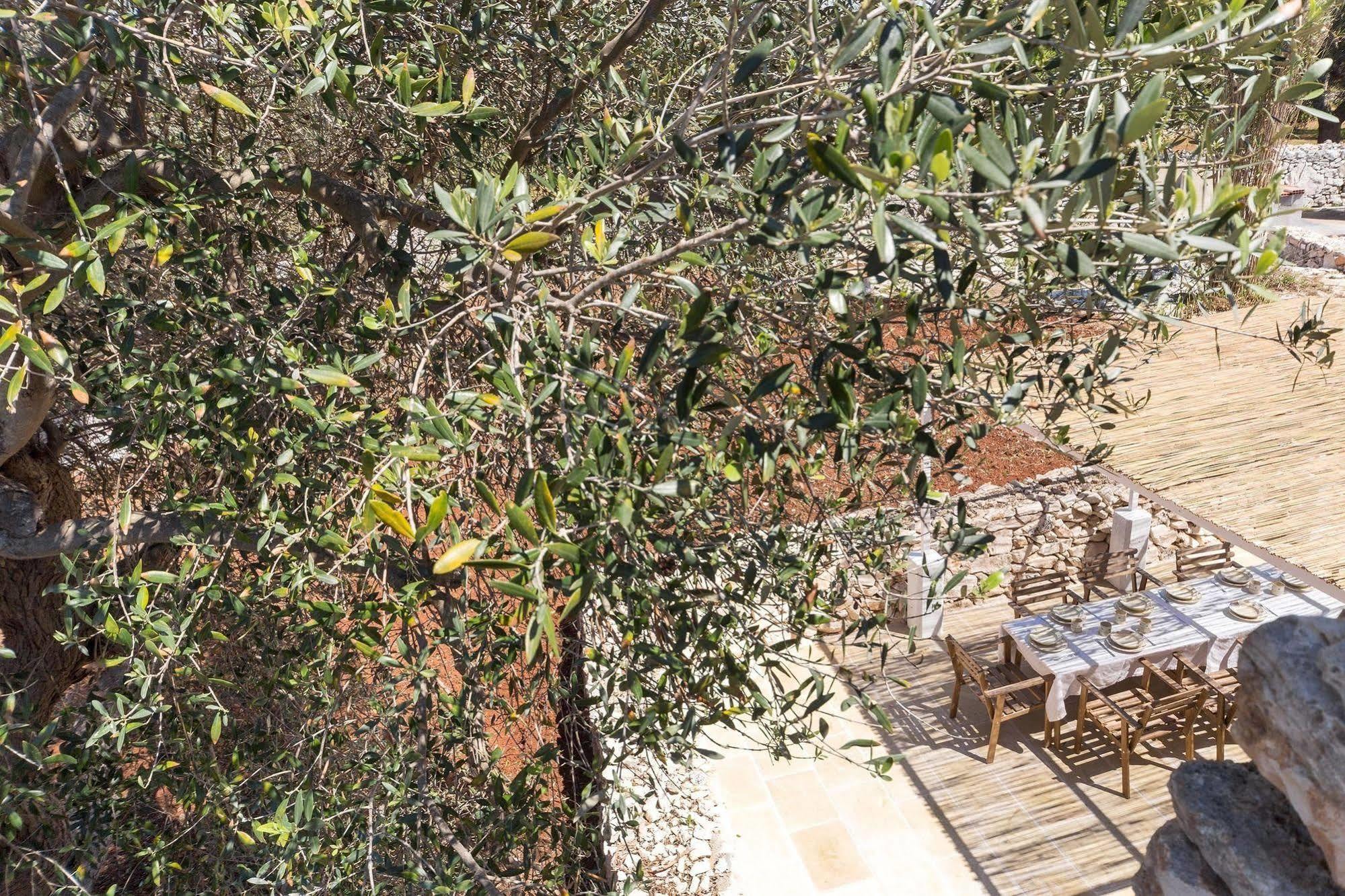 Vila Trulli Le Scalelle Morciano di Leuca Exteriér fotografie